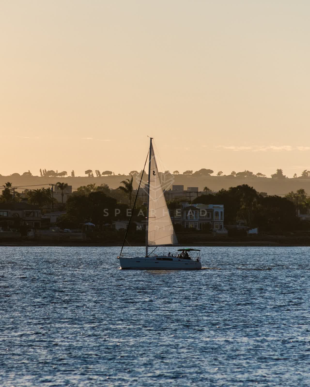 View from the water of the harbor, boats and palm trees at Embarcadero, with boats out.