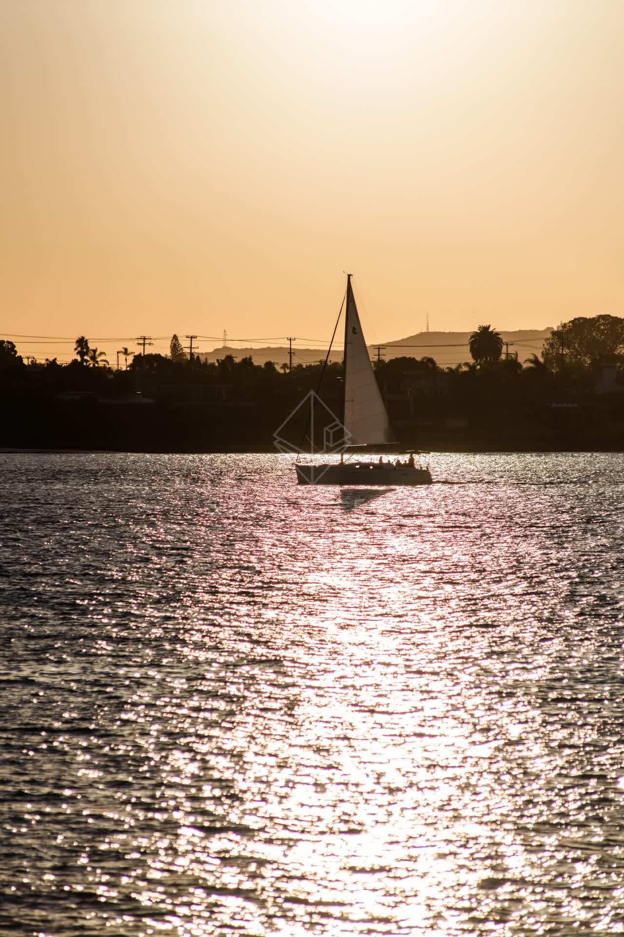 View from the water of the harbor, boats and palm trees at Embarcadero, with boats out.