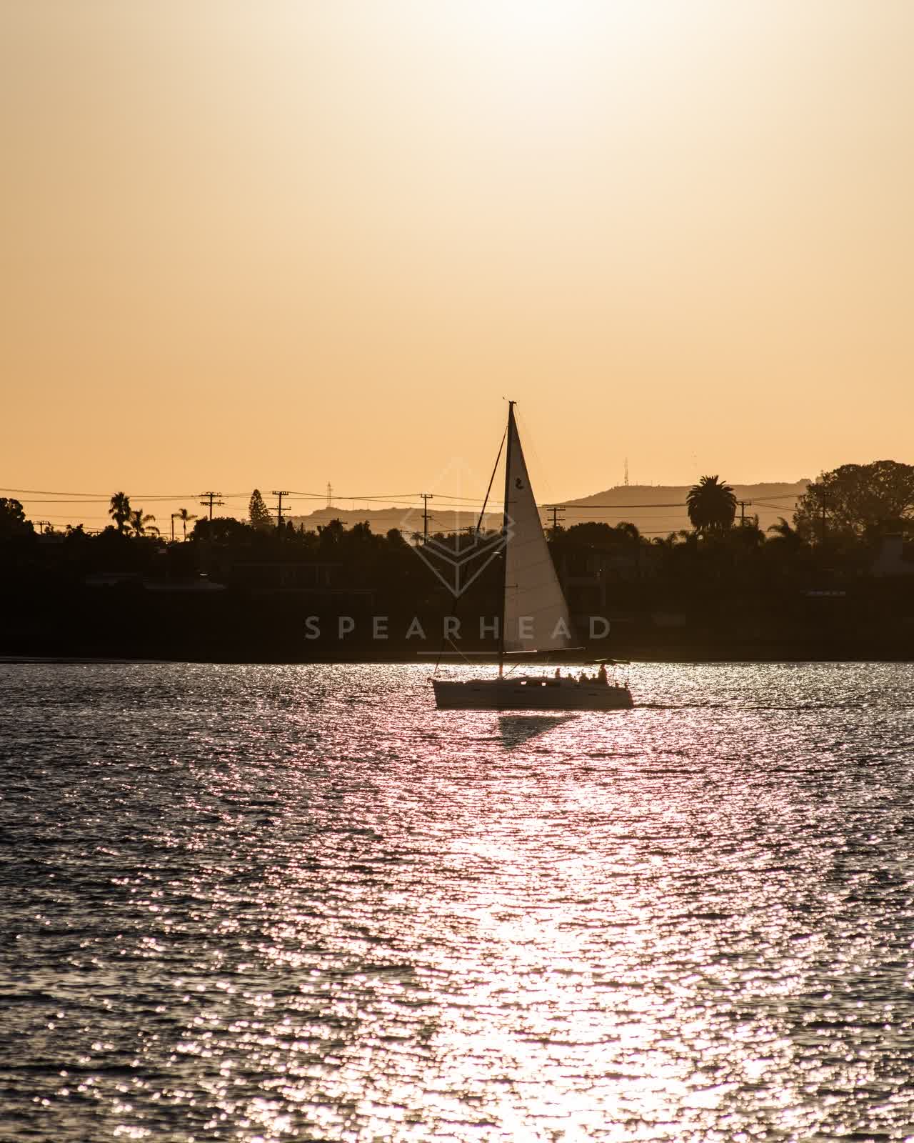 View from the water of the harbor, boats and palm trees at Embarcadero, with boats out.
