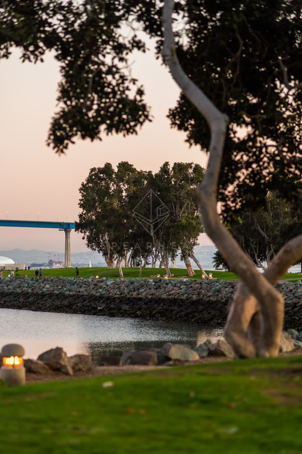 A park, the bridge and palm trees at Embarcadero, with people walking.