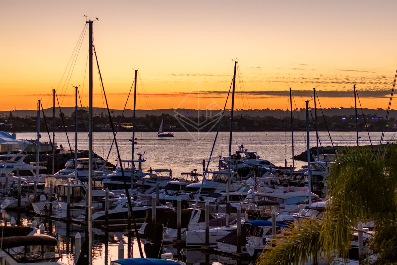 Elevated view of the harbor, boats and palm trees at Embarcadero.