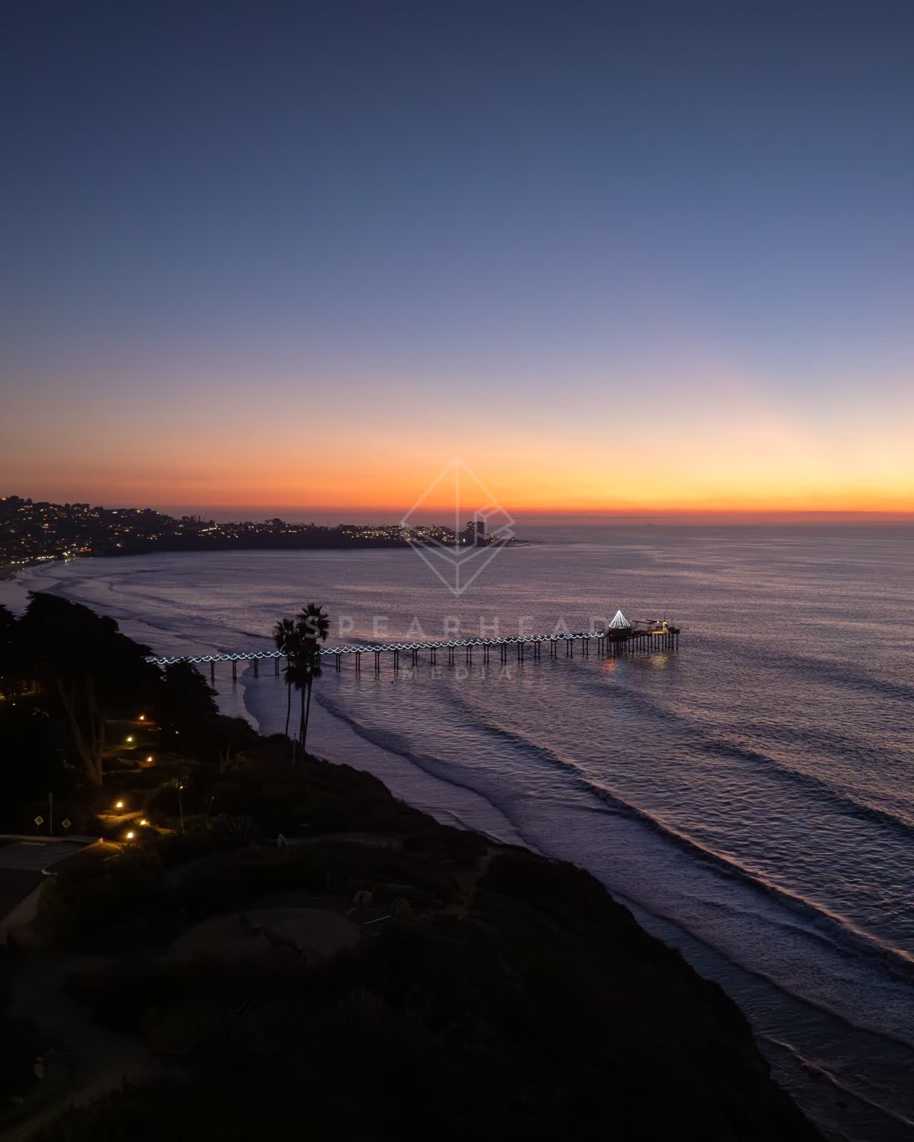 Aerial view of the beach, the pier and palm trees at La Jolla Shores.