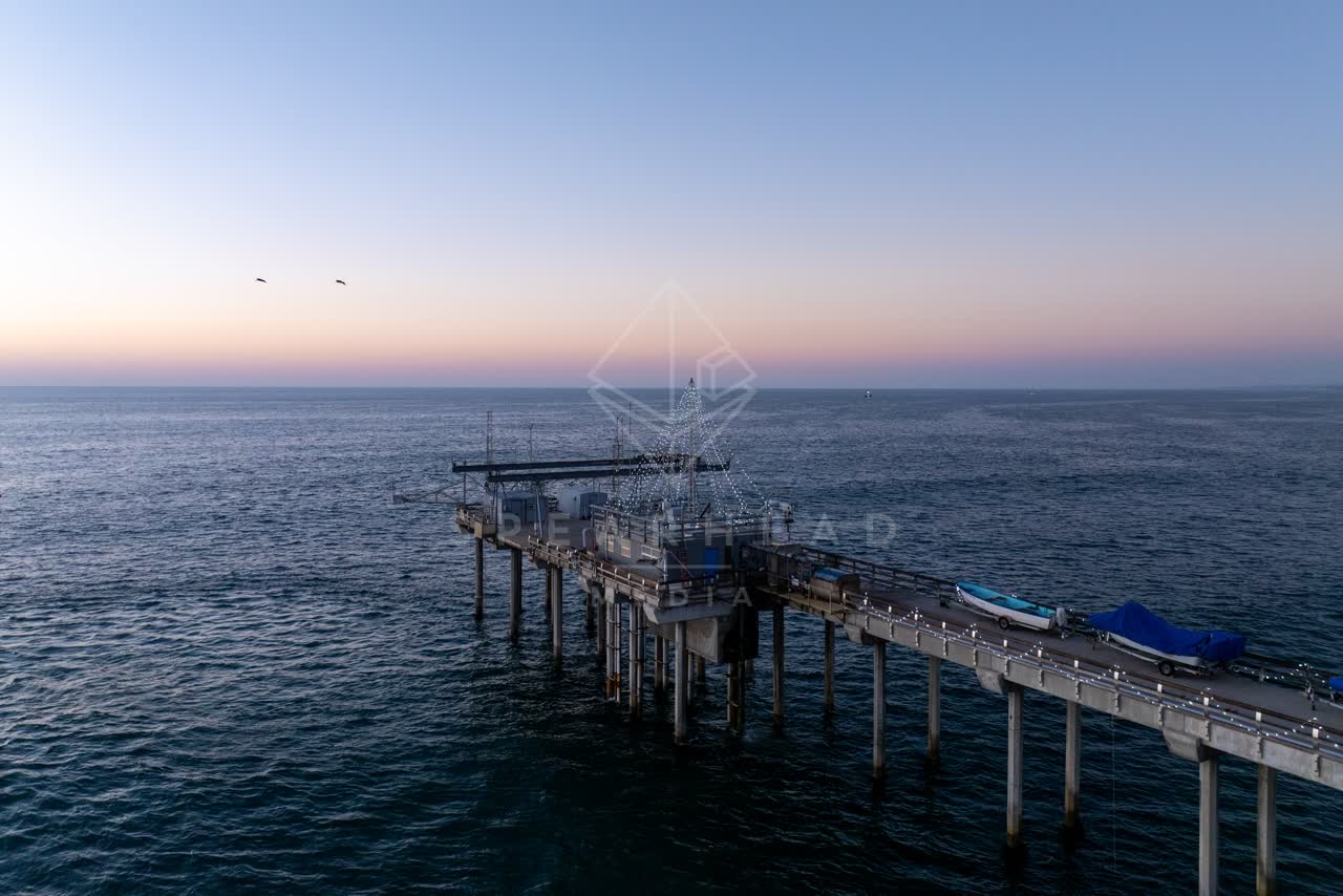 Low aerial view of the beach, the pier and wildlife at La Jolla Shores.