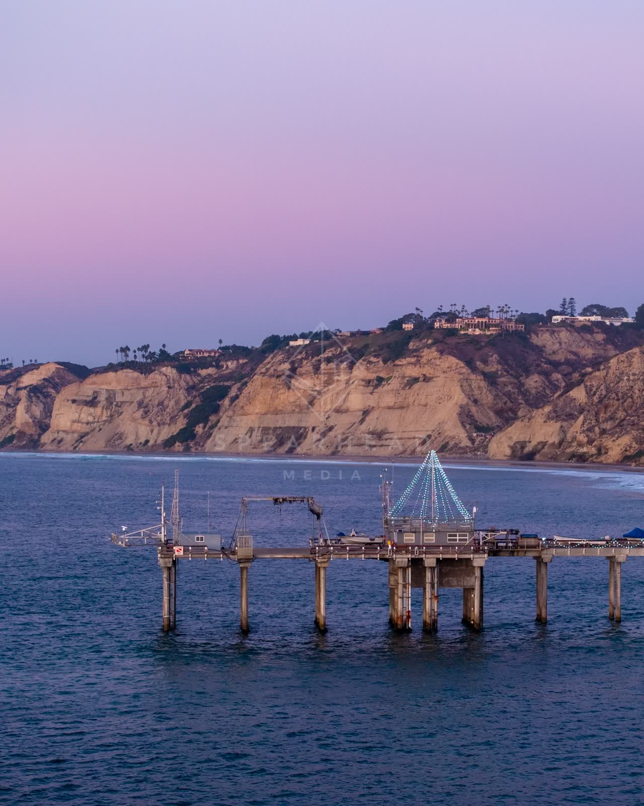 Low aerial view of the beach, the pier and palm trees at La Jolla Shores.