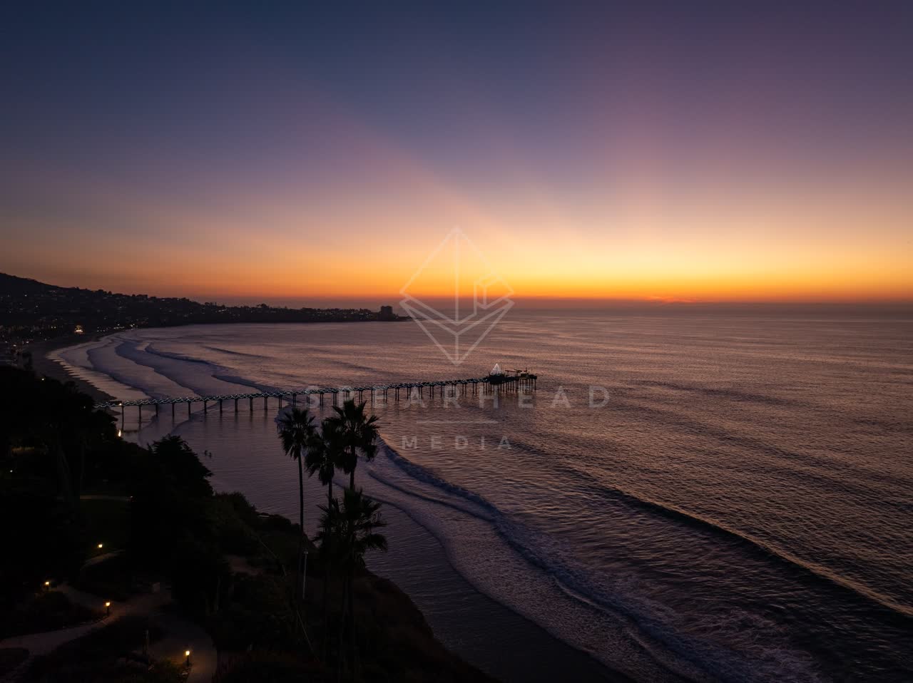 Aerial view of the beach, the pier and palm trees at La Jolla Shores.