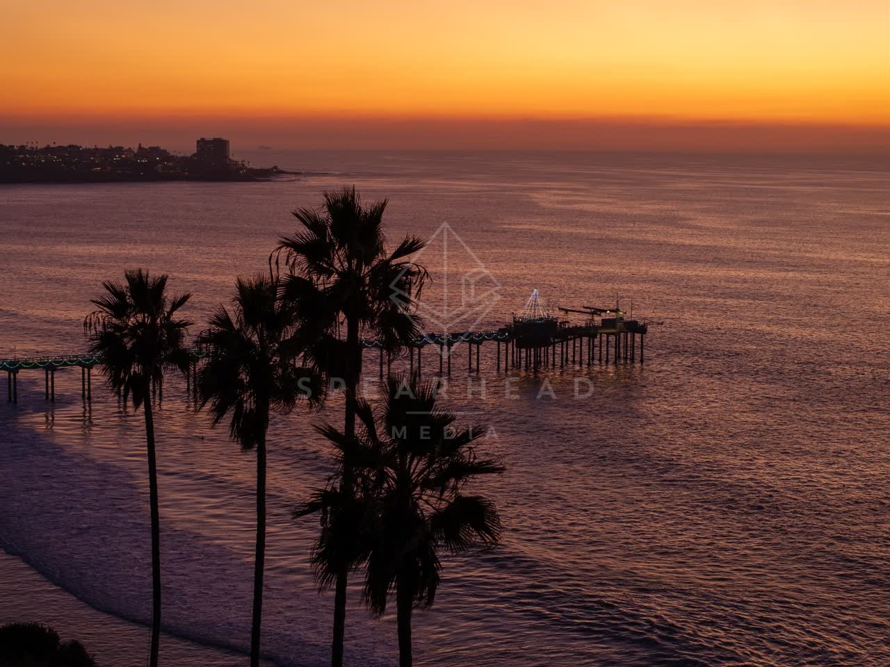Low aerial view of the beach, the pier and palm trees at La Jolla Shores.