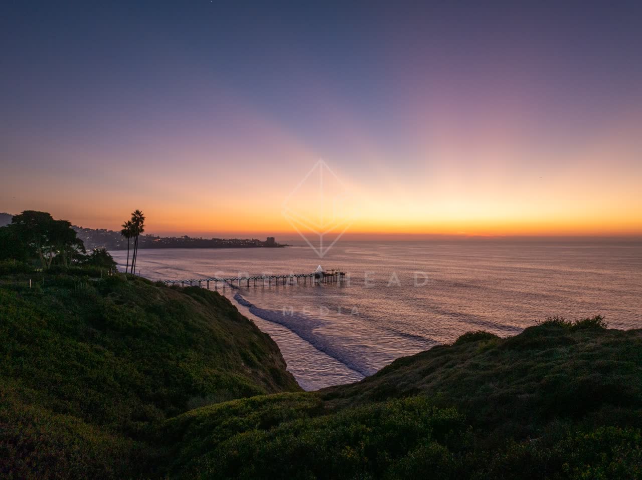 Elevated view of the cliffs, the pier and palm trees at La Jolla Shores.