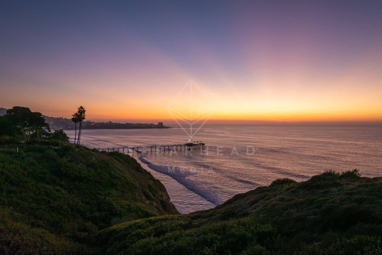 Elevated view of the cliffs, the pier and palm trees at La Jolla Shores.