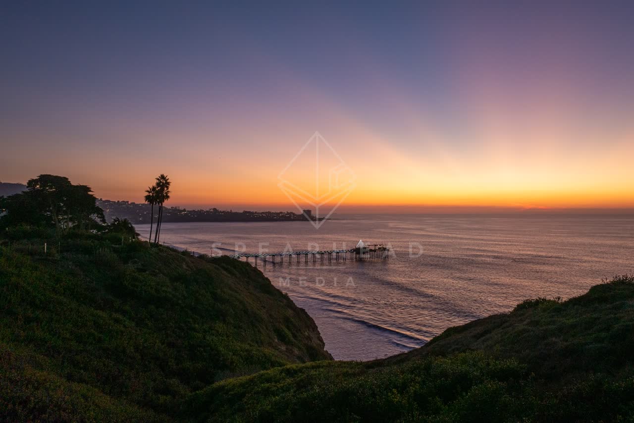 Elevated view of the cliffs, the pier and palm trees at La Jolla Shores.