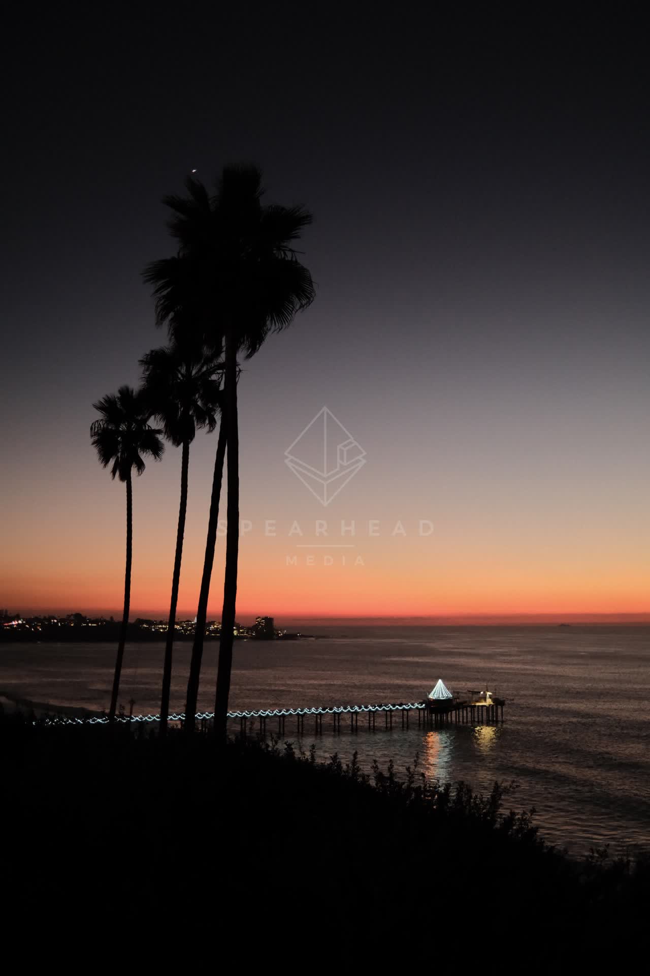 Elevated view of the cliffs, the pier and palm trees at La Jolla Shores.