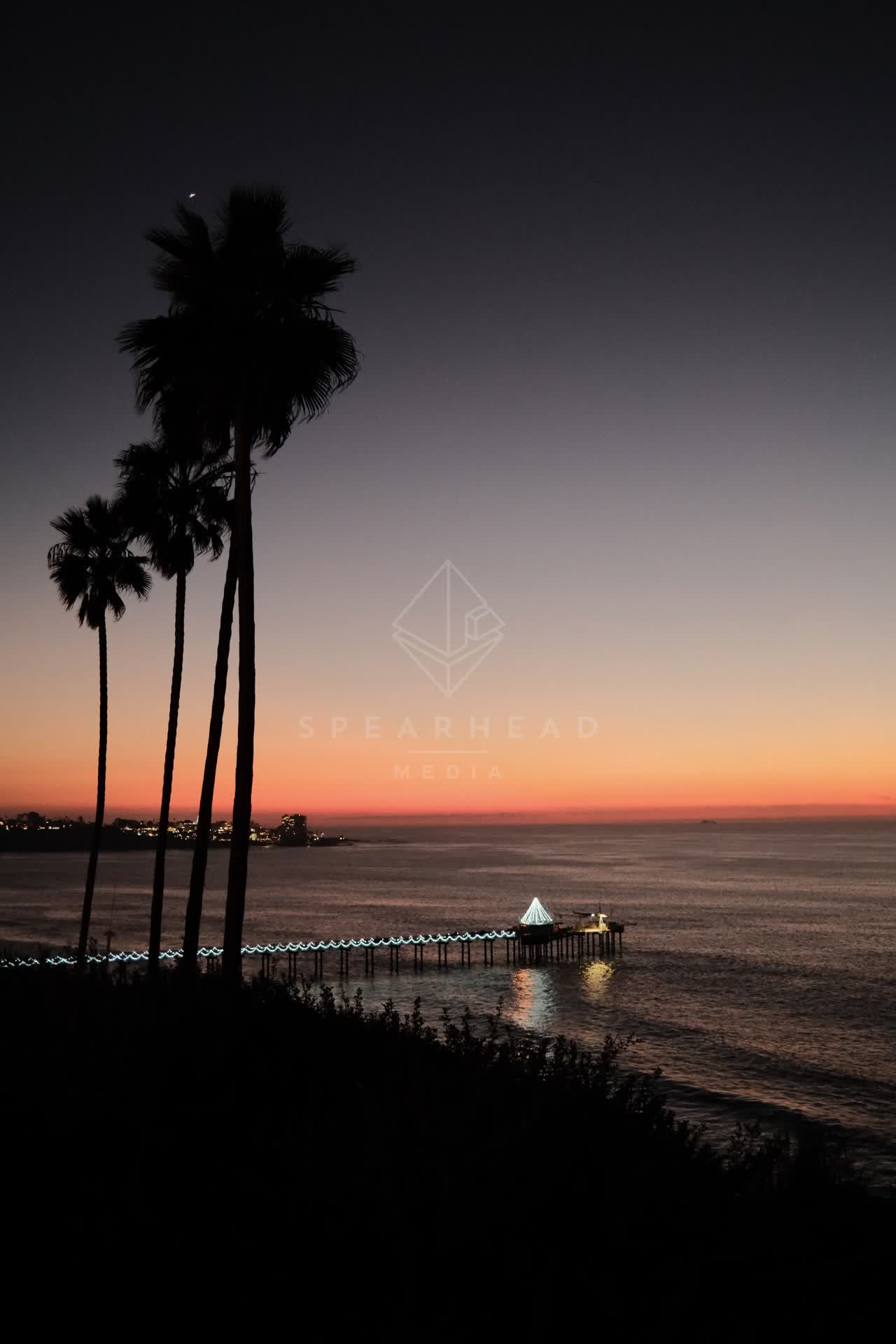 Elevated view of the cliffs, the pier and palm trees at La Jolla Shores.