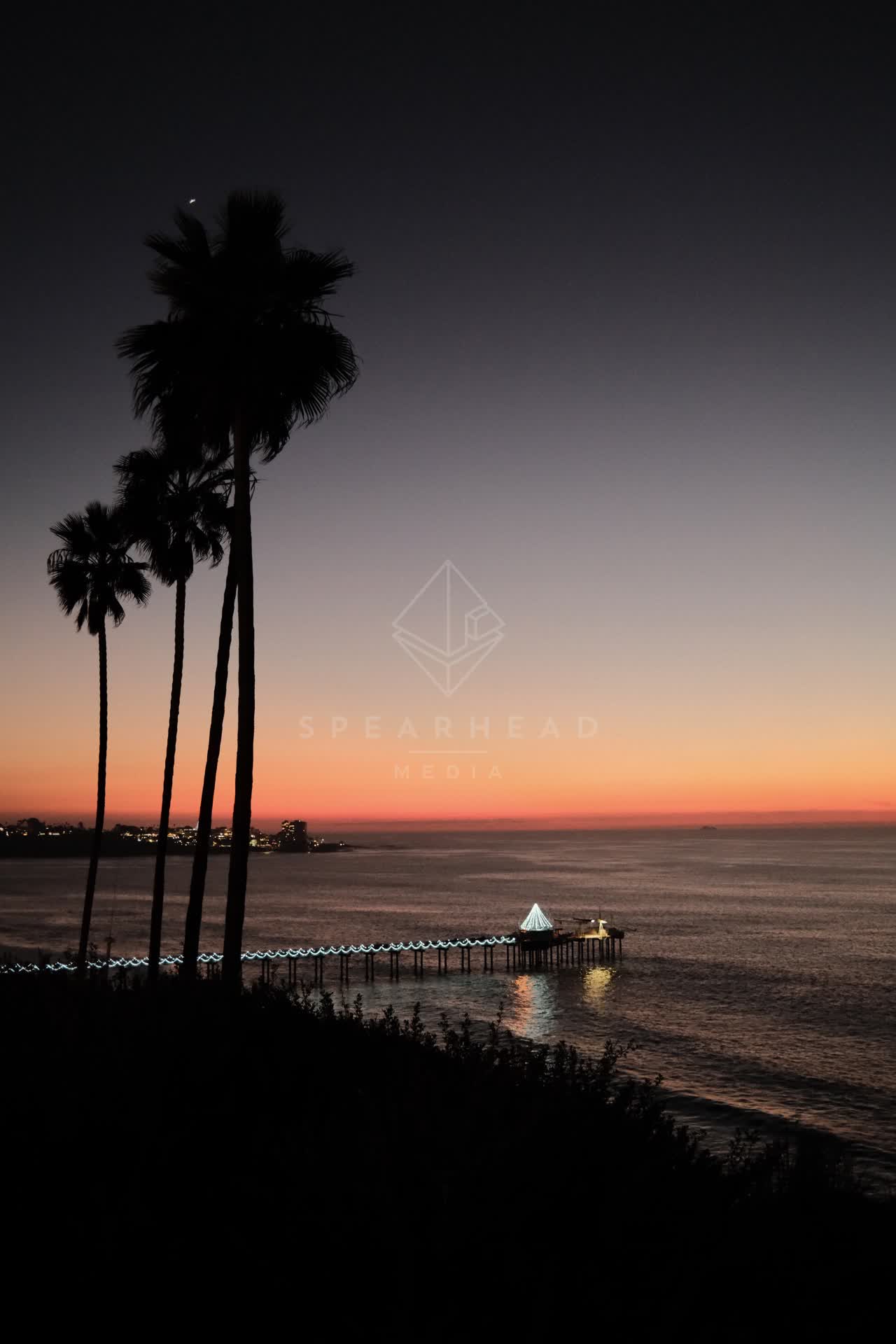 Elevated view of the cliffs, the pier and palm trees at La Jolla Shores.