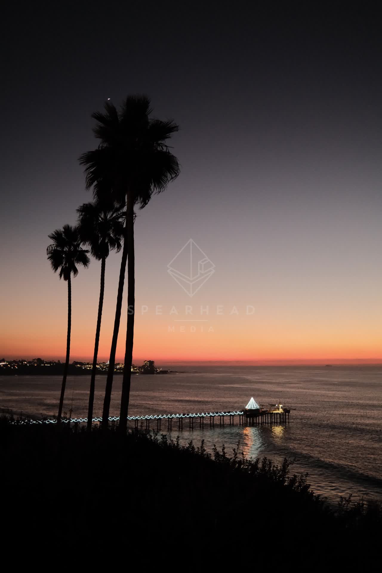 The cliffs, the pier and palm trees at La Jolla Shores.