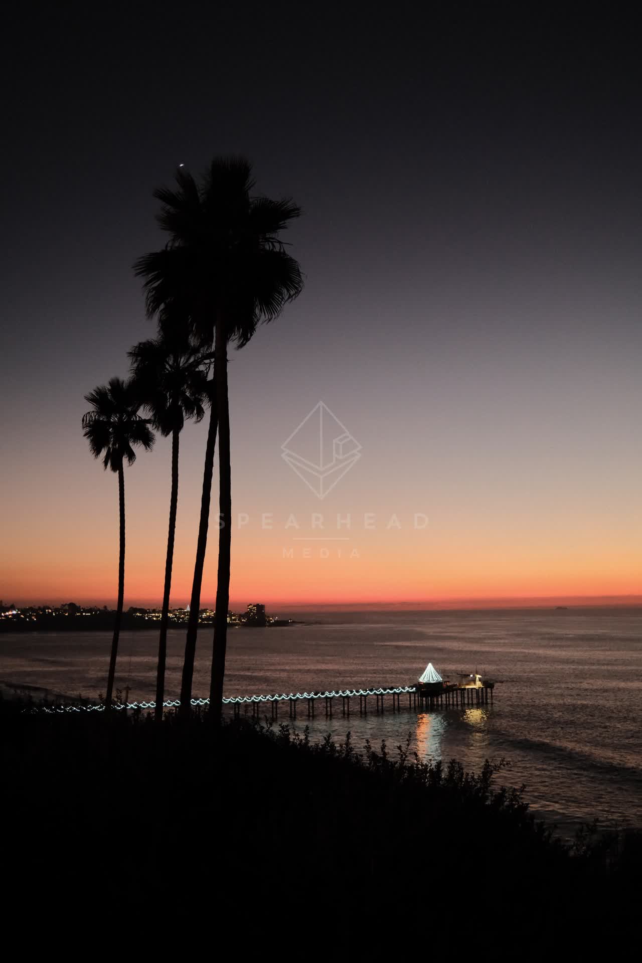 Elevated view of the cliffs, the pier and palm trees at La Jolla Shores.