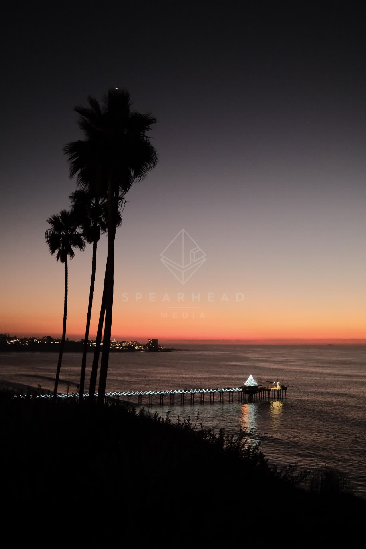 Elevated view of the cliffs, the pier and palm trees at La Jolla Shores.