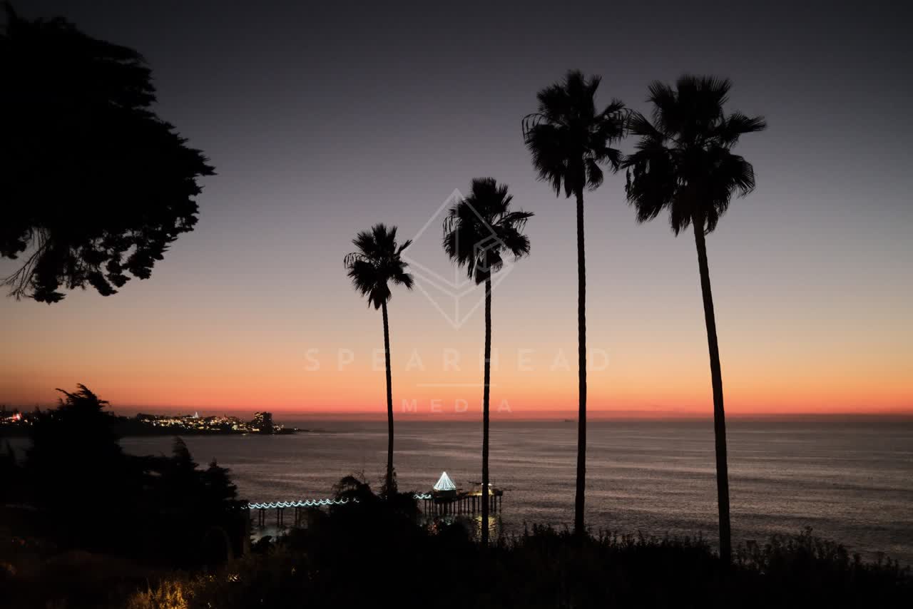 Elevated view of the cliffs, the pier and palm trees at La Jolla Shores.
