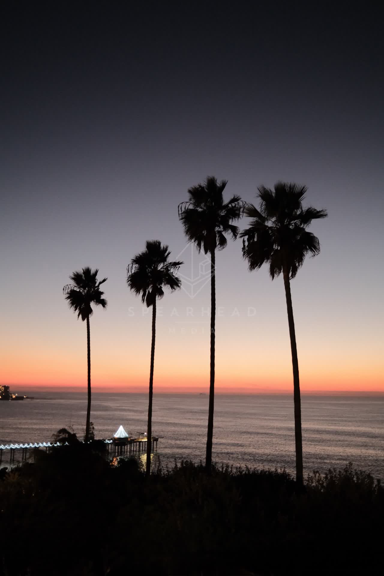 Elevated view of the cliffs, the pier and palm trees at La Jolla Shores.