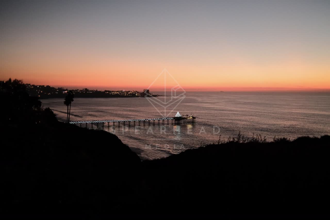 Elevated view of the cliffs, the pier and palm trees at La Jolla Shores.