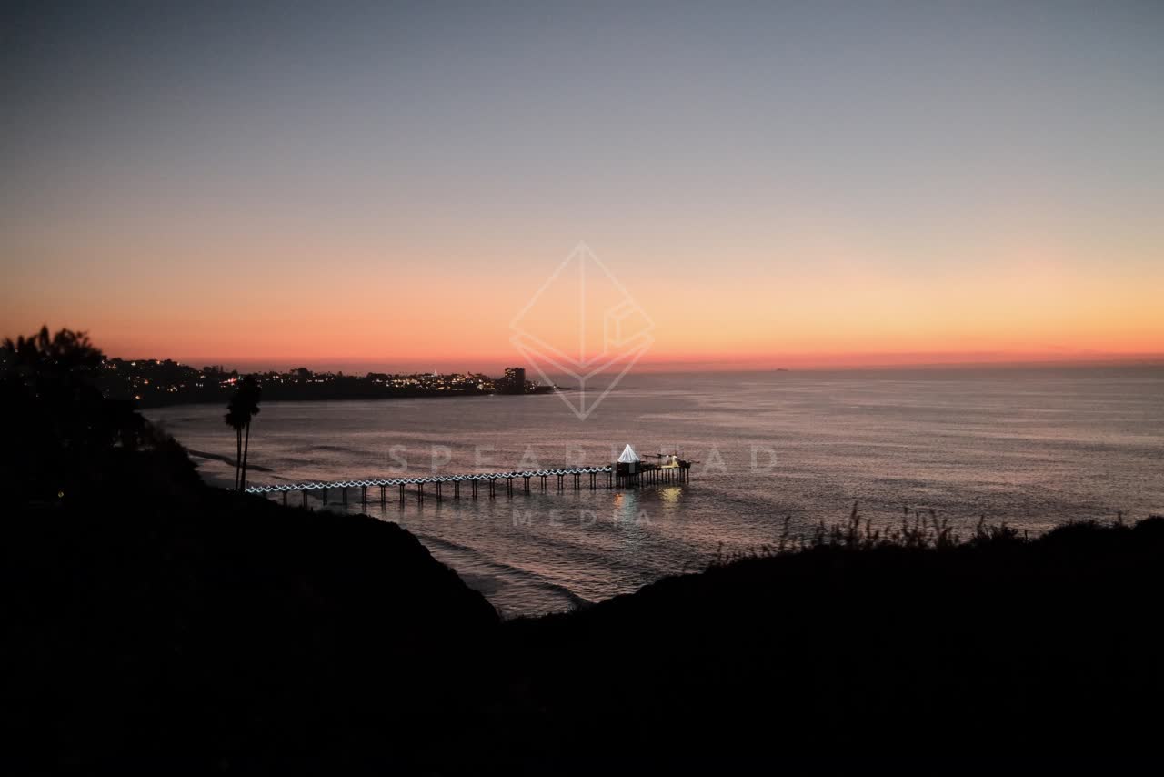 Elevated view of the cliffs, the pier and palm trees at La Jolla Shores.