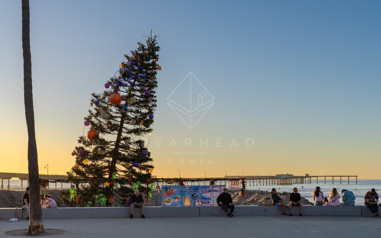 The beach, the pier and palm trees in Ocean Beach, with a crowd gathered.