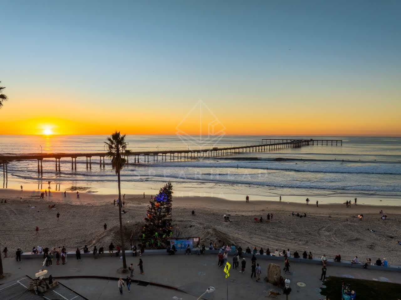 Elevated view of the beach, the pier and palm trees in Ocean Beach, with a crowd gathered.