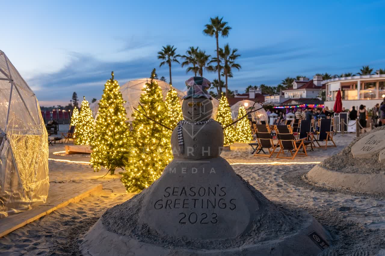 The beach, palm trees and homes at Coronado Beach, with a crowd gathered.