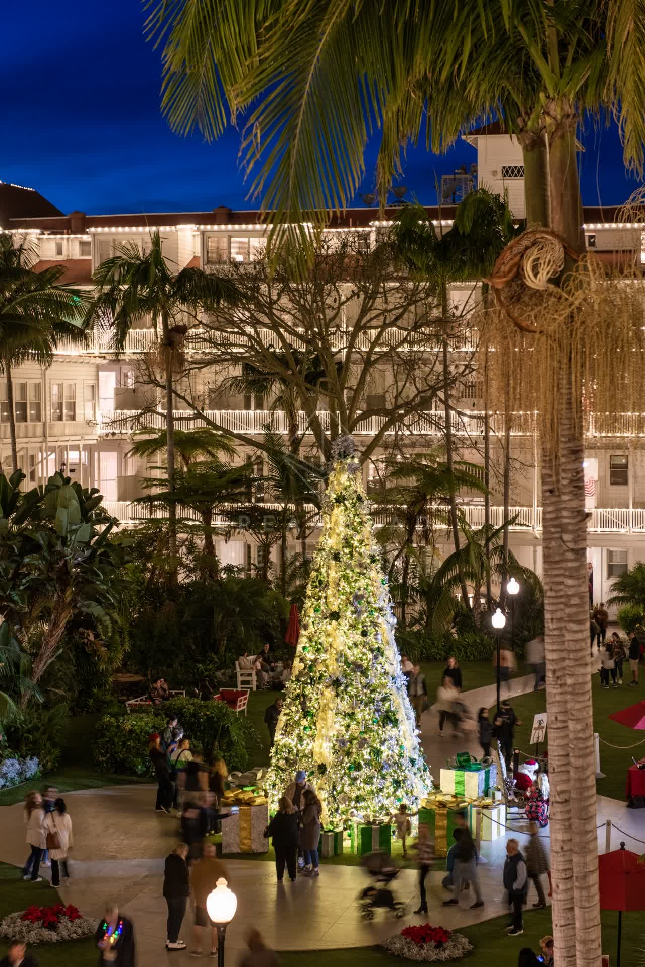 Elevated view of a residential street, palm trees and the buildings at Coronado Beach, with a crowd gathered.