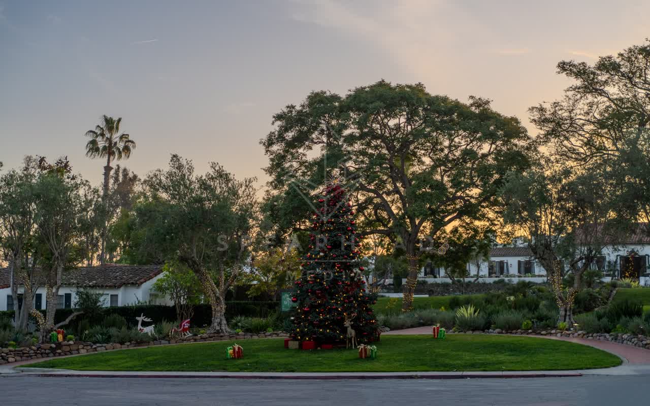A residential street, palm trees and homes at Covenant.