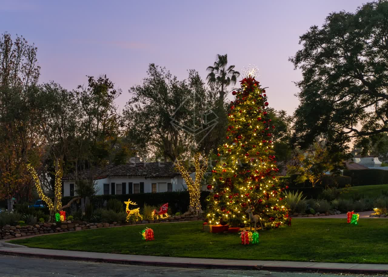 A residential street, palm trees and homes at Covenant.