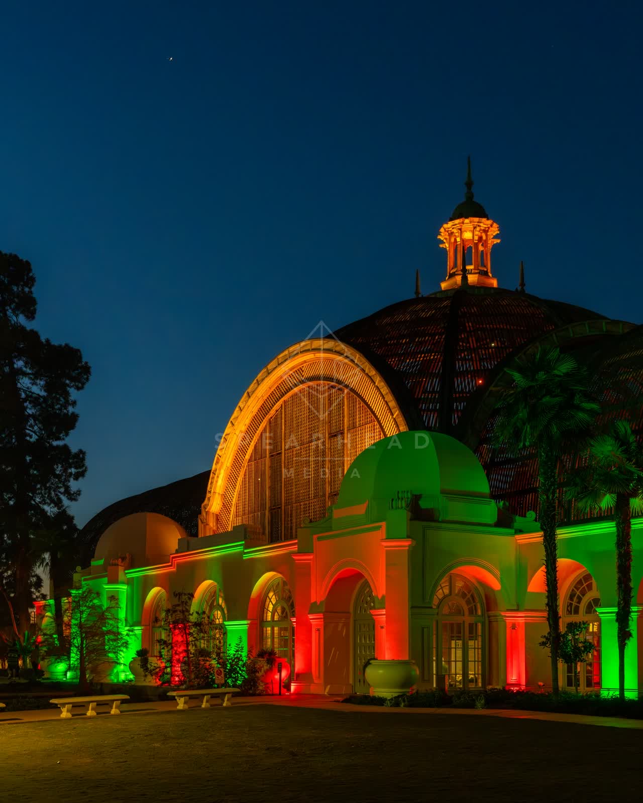 A park, palm trees and the buildings in Balboa Park.