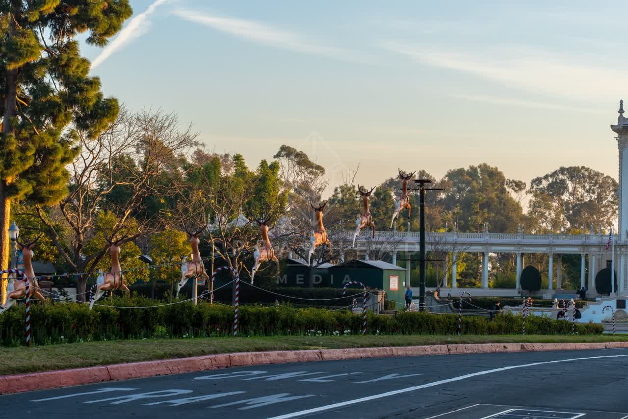 A park, palm trees and the buildings in Balboa Park.