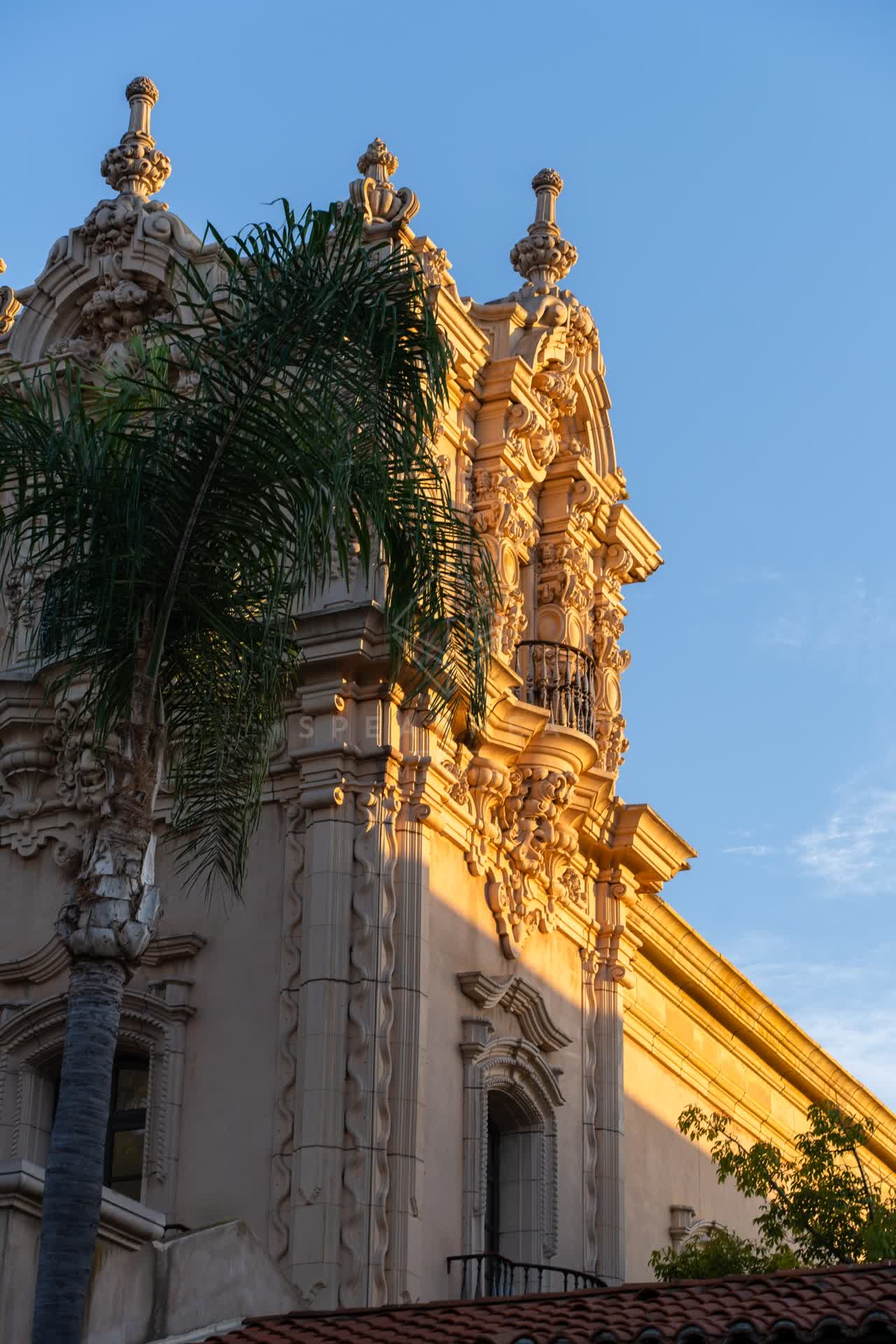 A park, palm trees and the buildings in Balboa Park.
