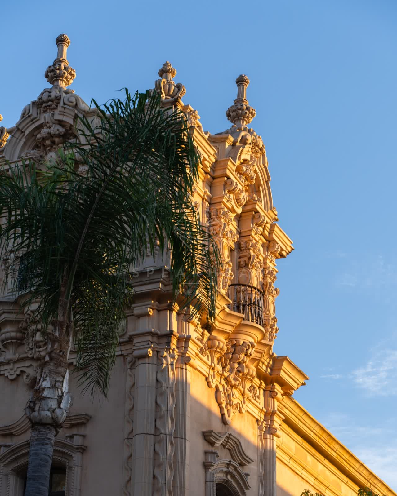 A park, palm trees and the buildings in Balboa Park.