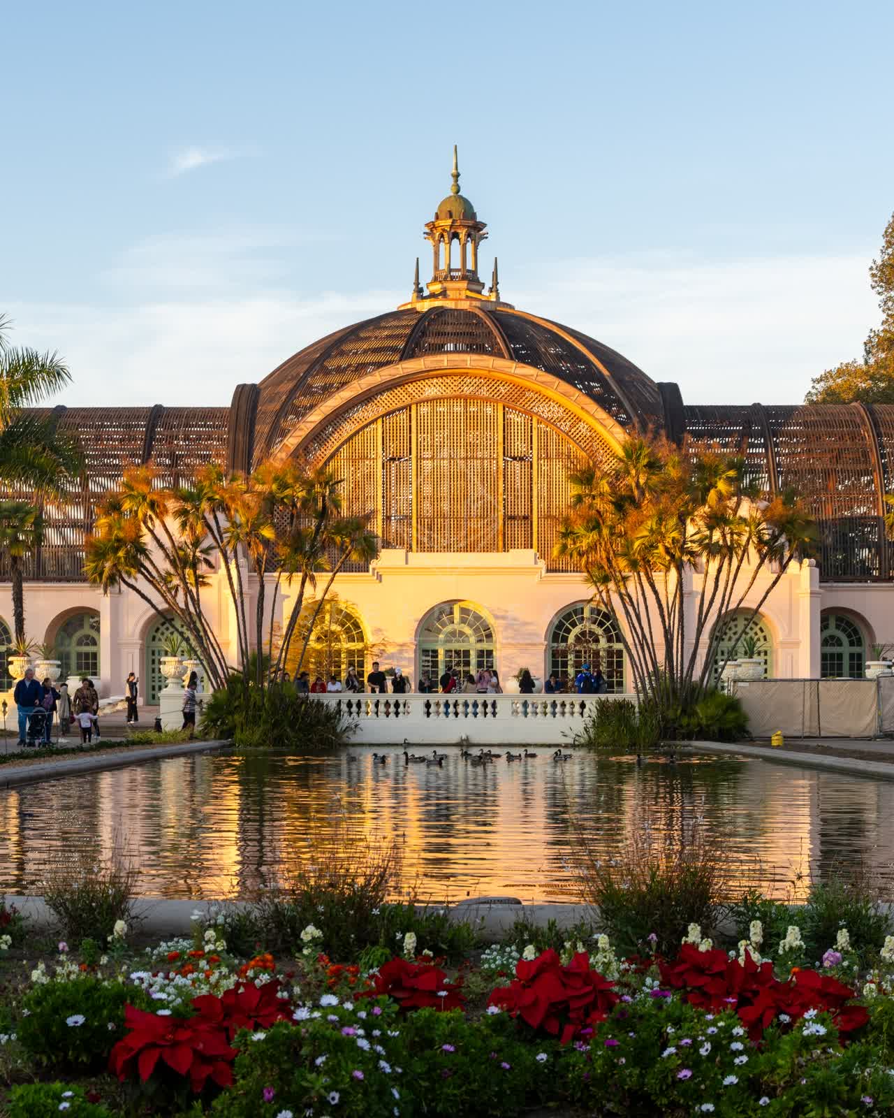 A park, wildlife and palm trees in Balboa Park, with people walking.