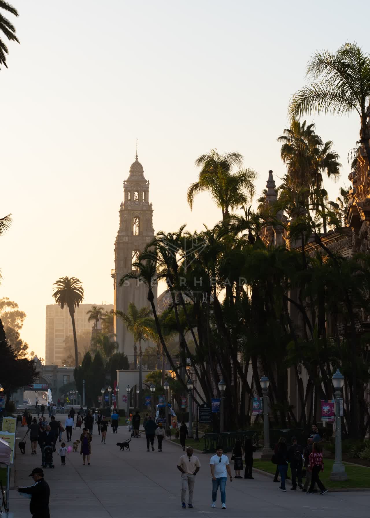 A park, palm trees and the buildings in Balboa Park, with people walking.