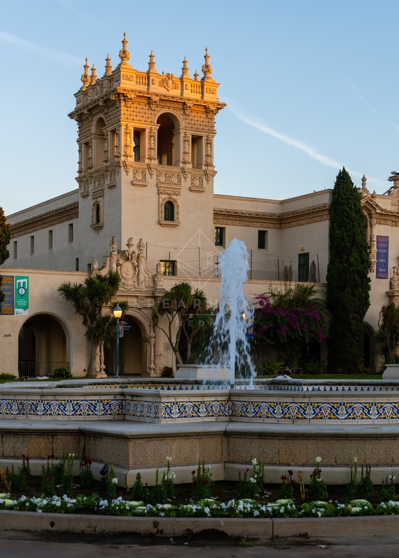 A park, palm trees and the buildings in Balboa Park.