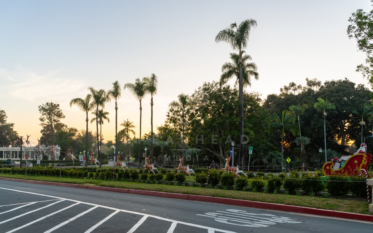 A park, palm trees and traffic in Balboa Park.
