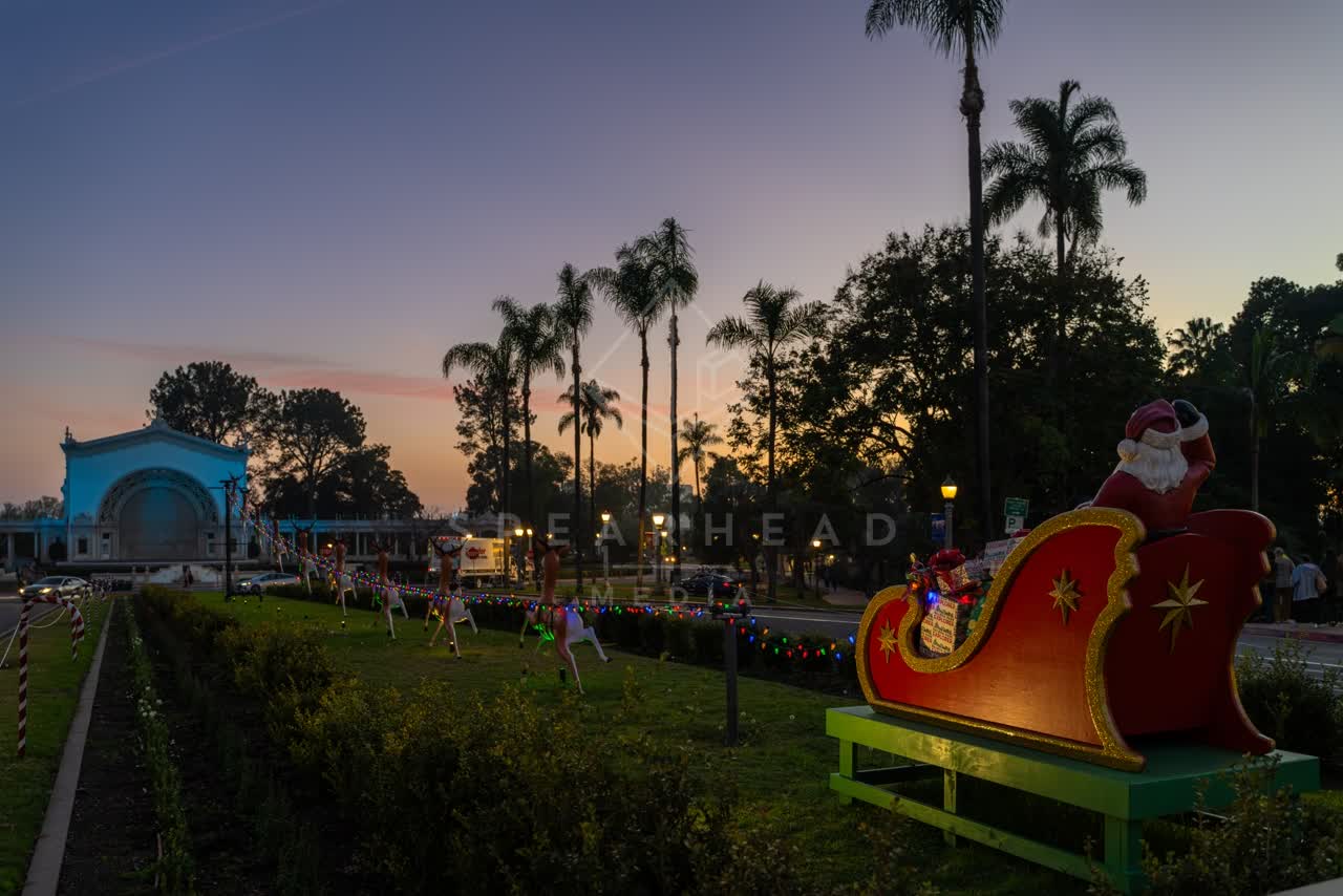 A park, palm trees and the buildings in Balboa Park.