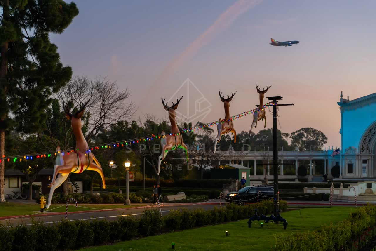 A park, the buildings and traffic in Balboa Park.