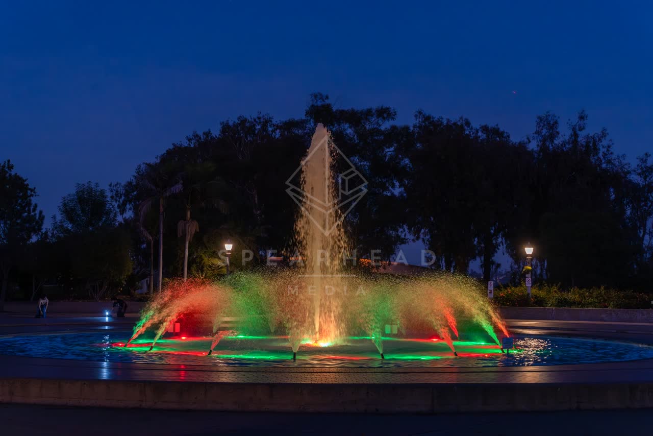 A park, palm trees and open country in Balboa Park.