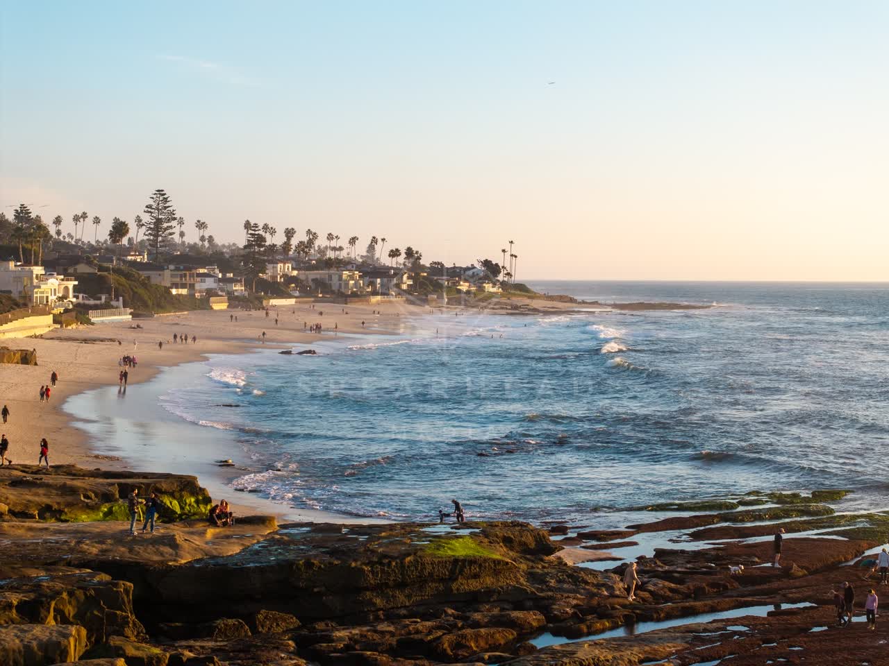 Elevated view of the beach, the surf and palm trees at La Jolla Cove, with people walking.