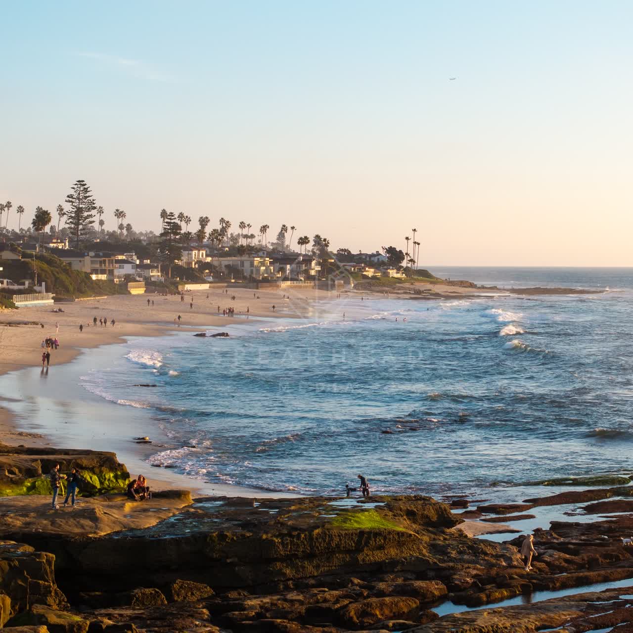 Elevated view of the beach, the surf and palm trees at La Jolla Cove, with people walking.