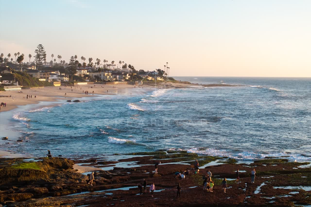 The beach, the surf and palm trees at La Jolla Cove, with a crowd gathered.