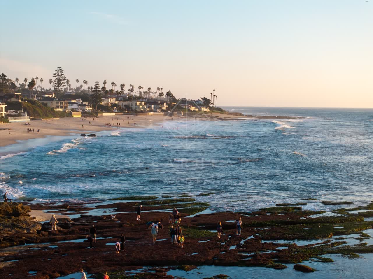 Low aerial view of the beach, the surf and palm trees at La Jolla Cove, with people walking.