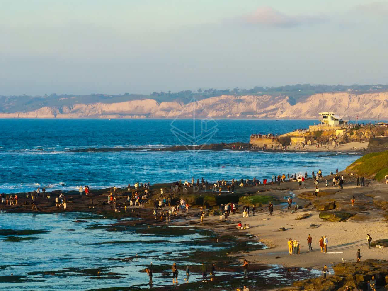 Low aerial view of the beach, wildlife and the ocean at La Jolla Cove, with a crowd gathered.