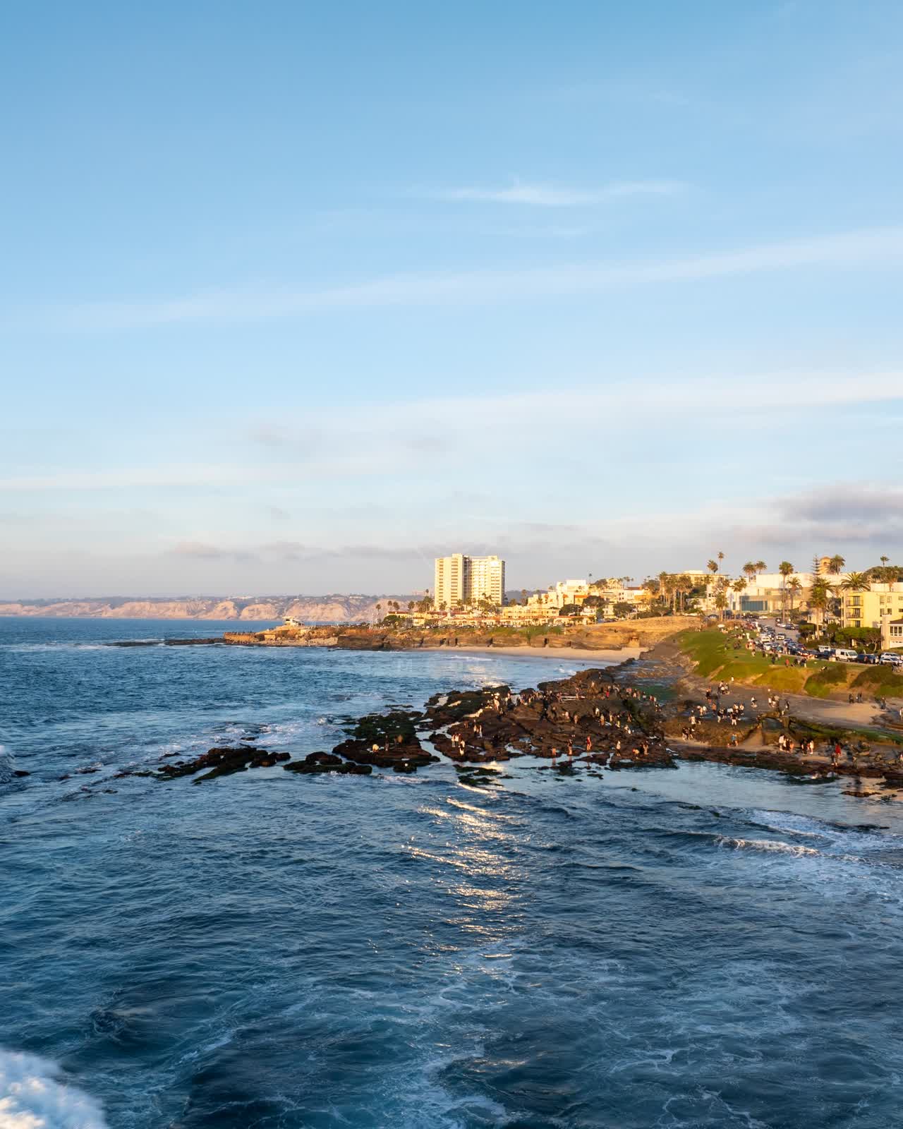 Aerial view of the cliffs, palm trees and the ocean at La Jolla Cove, with a crowd gathered.