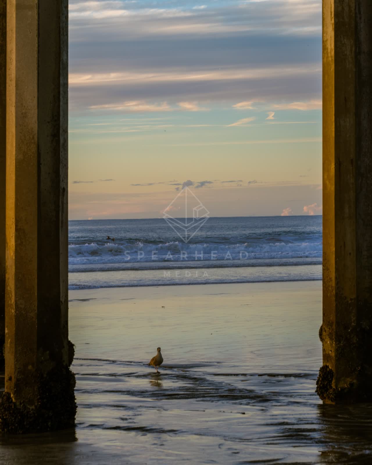 The beach, the surf and the pier at La Jolla Shores.