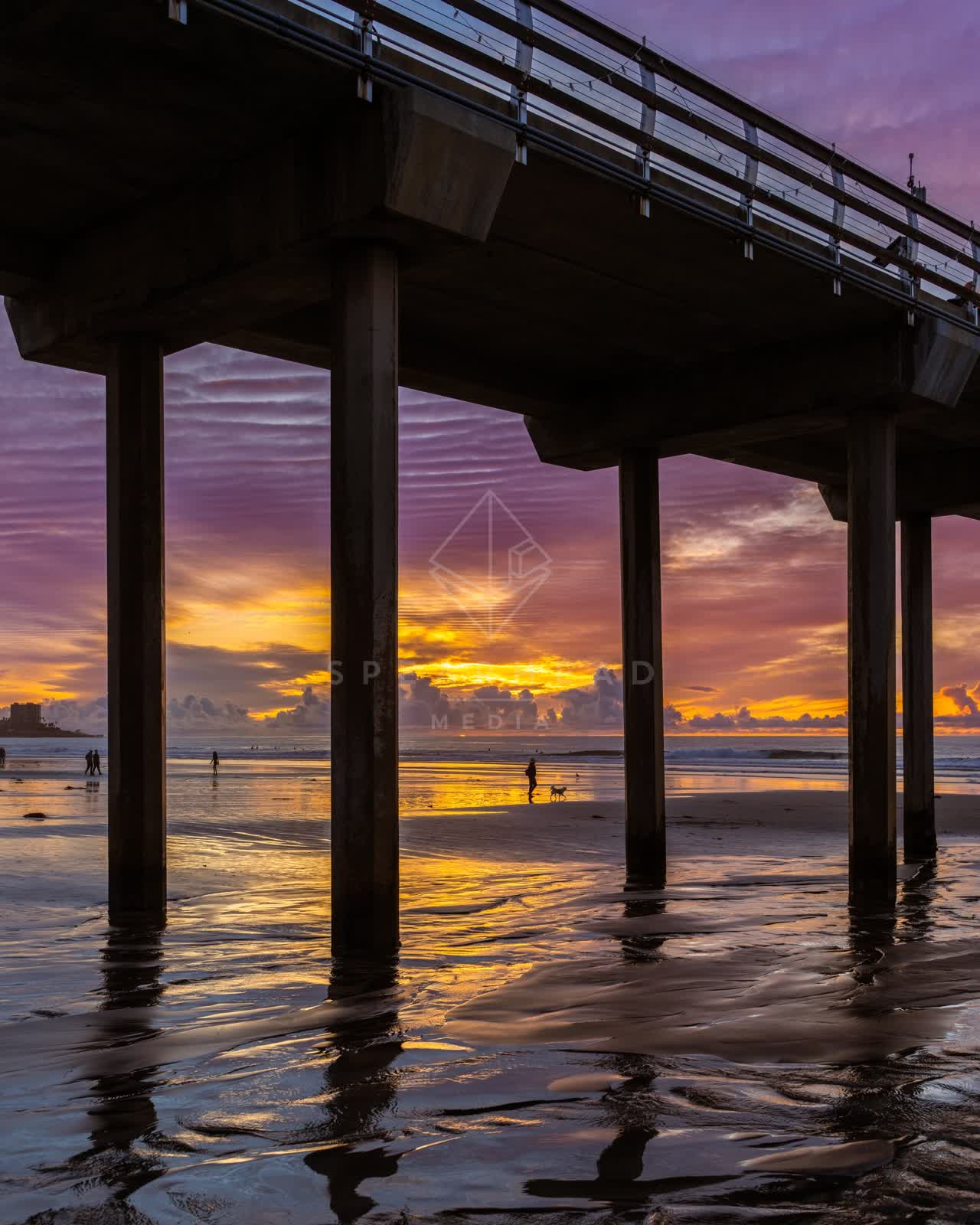 The beach, the pier and wildlife at La Jolla Shores, with people walking.