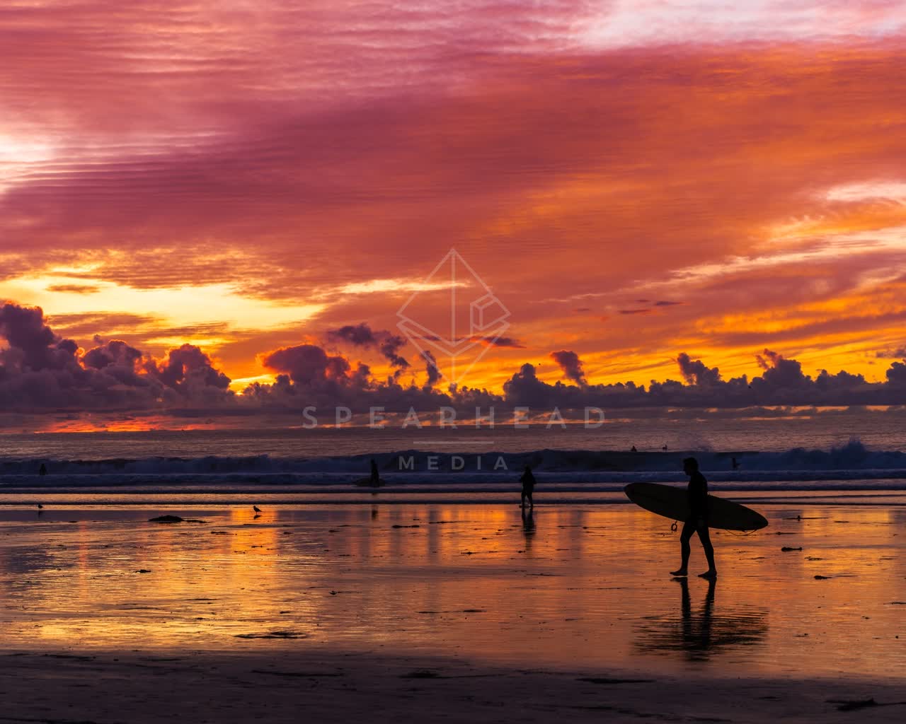 The beach, the surf and wildlife at La Jolla Shores, with people walking.