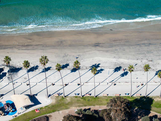 Aerial view of the beach, the surf and palm trees at La Jolla Shores, with people walking.